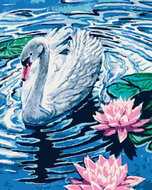 Zuty - Painting by Numbers - Swan with Two Water Lilies, 80X100 Cm, Canvas+Frame - Painting by Numbers