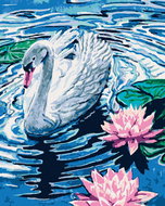 Zuty - Painting by Numbers - Swan with Two Water Lilies, 40X50 Cm, Canvas+Frame - Painting by Numbers