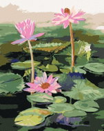 Zuty - Painting by Numbers - Three Pink Water Lilies on the Lake, 80X100 Cm, Canvas - Painting by Numbers