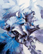 Zuty - Painting by Numbers - Blue Iris, 40X50 Cm, Canvas - Painting by Numbers