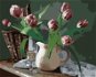 Zuty - Painting by Numbers - Tulips in a Pitcher, 80X100 Cm, Canvas+Frame - Painting by Numbers