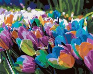 Zuty – Maľovanie Podľa Čísel – Dúhové Tulipány, 80 × 100 cm, Plátno + Rám - Maľovanie podľa čísel