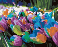 Zuty - Painting by Numbers - Rainbow Tulips, 40X50 Cm, Canvas+Frame - Painting by Numbers