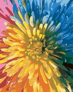 Zuty - Painting by Numbers - Rainbow Flower, 80X100 Cm, Canvas+Frame - Painting by Numbers