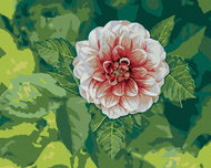 Zuty - Painting by Numbers - Jiřina Mezi Listy, 40X50 Cm, Canvas+Frame - Painting by Numbers