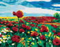 Zuty - Painting By Numbers - Wolf Poppy In The Field, 80X100 Cm, Canvas+Frame - Painting by Numbers