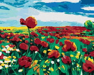 Zuty - Painting by Numbers - Wolf Poppy In The Field, 80X100 Cm, Canvas - Painting by Numbers