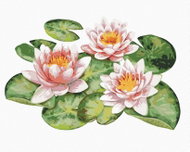 Zuty - Painting by Numbers - Water Lilies in a Garden Pond, 40X50 Cm, Canvas - Painting by Numbers