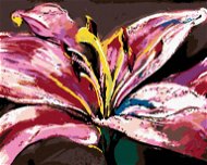 Zuty - Painting by Numbers - Big Pink Lily, 80X100 Cm, Canvas+Frame - Painting by Numbers