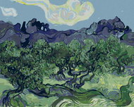 Zuty - Painting by Numbers - Olive Trees With Alpilles In The Background (Vincent Van Gogh), 80X100  - Painting by Numbers
