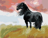Zuty - Painting by Numbers - Black Horse on Meadow, 80X100 Cm, Canvas - Painting by Numbers