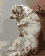 Zuty - Painting by Numbers - Large White Dog, 40X50 Cm, Canvas - Painting by Numbers