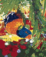 Zuty - Painting by Numbers - Parrot Head Down, 40X50 Cm, Canvas - Painting by Numbers