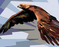 Zuty - Painting by Numbers - Brown Eagle In Flight, 80X100 Cm, Canvas - Painting by Numbers