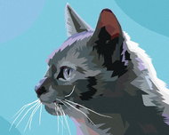 Zuty - Painting by Numbers - Grey Cat Sideways, 40X50 Cm, Canvas+Frame - Painting by Numbers