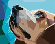 Zuty - Painting by Numbers - Beagle Dog, 40X50 Cm, Canvas+Frame - Painting by Numbers
