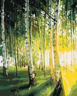 Zuty - Painting by Numbers - Birch Trees in a Lighted Forest, 40X50 Cm, Canvas - Painting by Numbers