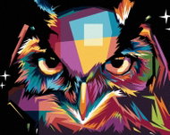 Zuty - Painting by Numbers - Portrait of a Colored Owl, 80X100 Cm, Canvas+Frame - Painting by Numbers