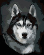 Zuty - Painting by Numbers - Husky Portrait, 80X100 Cm, Canvas - Painting by Numbers