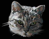 Zuty - Painting by Numbers - Grey Cat Portrait, 80X100 Cm, Canvas - Painting by Numbers