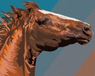 Zuty - Painting by Numbers - Brown Horse Portrait, 80X100 Cm, Canvas+Frame - Painting by Numbers