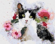 Zuty - Painting by Numbers - Black and White Cat and Pink Flowers, 40X50 Cm, Canvas+Frame - Painting by Numbers