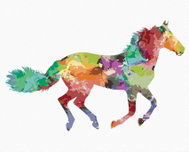 Zuty - Painting by Numbers - Colorful Horse Running, 80X100 Cm, Canvas+Frame - Painting by Numbers