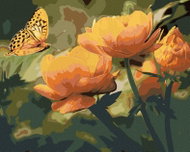 Zuty - Painting by Numbers - Butterfly And Orange Flowers, 40X50 Cm, Canvas - Painting by Numbers