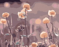 Zuty - Painting by Numbers - Spring Nature, 80X100 Cm, Canvas+Frame - Painting by Numbers