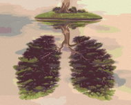 Zuty - Painting by Numbers - Tree In The Shape Of Plicks On An Island, 40X50 Cm, Canvas - Painting by Numbers