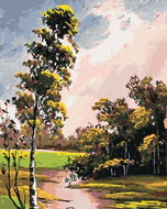 Zuty - Painting by Numbers - Summer Landscape With Birch Tree And Pond, 40X50 Cm, Canvas - Painting by Numbers
