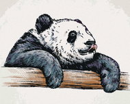Zuty - Painting by Numbers - Licking Panda, 40X50 Cm, Canvas+Frame - Painting by Numbers