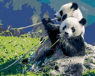 Zuty - Painting by Numbers - Panda And Bamboo, 80X100 Cm, Canvas+Frame - Painting by Numbers