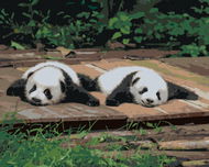 Zuty - Malování podle čísel - PANDA LEŽÍCÍ NA DŘEVĚ, 80x100 cm, vypnuté plátno na rám - Malování podle čísel