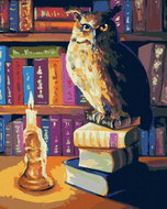 Zuty - Painting By Numbers - Owl In The Library, 80X100 Cm, Canvas+Frame - Painting by Numbers