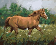 Zuty - Painting by Numbers - Brown Horse In A Pasture By A Forest, 80X100 Cm, Canvas+Frame - Painting by Numbers