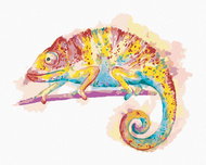 Zuty - Painting by Numbers - Colorful Chameleon on White Background, 40X50 Cm, Canvas+Frame - Painting by Numbers