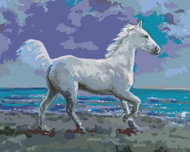 Zuty - Painting by Numbers - White Horse on the Shore, 40X50 Cm, Canvas - Painting by Numbers