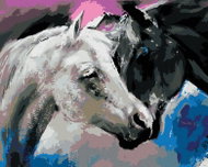Zuty - Painting By Numbers - Black And White Horse, 40X50 Cm, Canvas+Frame - Painting by Numbers