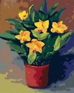 Zuty - Painting by Numbers - Daffodils in a Pot, 40X50 Cm, Canvas+Frame - Painting by Numbers