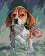Zuty - Painting by Numbers - Dog with Tulip, 40X50 Cm, Canvas - Painting by Numbers