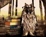 Zuty - Painting by Numbers - Owl with Books, 80X100 Cm, Canvas+Frame - Painting by Numbers