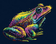 Zuty - Painting by Numbers - Colored Frog, 40X50 Cm, Canvas+Frame - Painting by Numbers