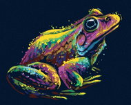 Zuty - Painting by Numbers - Colored Frog, 40X50 Cm, Canvas - Painting by Numbers