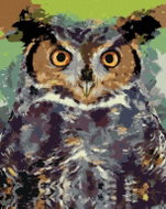 Zuty - Painting by Numbers - Colored Owl Ii, 80X100 Cm, Canvas+Frame - Painting by Numbers