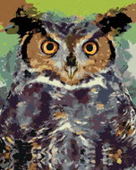 Zuty - Painting by Numbers - Colored Owl Ii, 40X50 Cm, Canvas - Painting by Numbers