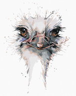 Zuty - Painting by Numbers - Ostrich Head, 40X50 Cm, Canvas+Frame - Painting by Numbers