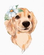 Zuty - Painting by Numbers - Cute Dog And White Flower, 40X50 Cm, Canvas+Frame - Painting by Numbers