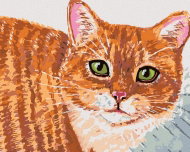 Zuty - Painting by Numbers - Beige Cat And Green Eyes, 40X50 Cm, Canvas+Frame - Painting by Numbers