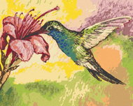 Zuty - Painting by Numbers - Hummingbird And Pink Flower, 80X100 Cm, Canvas+Frame - Painting by Numbers